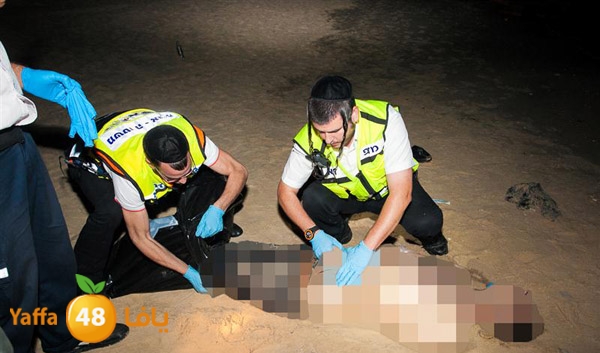 3aregmontreeh520 (19).jpg